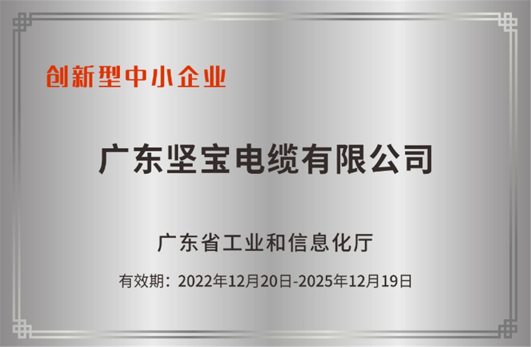 创新型中小企业