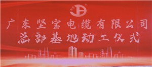 广东91看片下载电缆有限公司总部基地落成奠基仪式