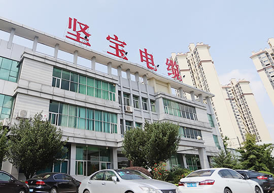 关于91看片下载